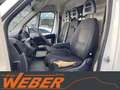 Citroen Jumper 35 L2H2 130 Klima Navi Regale Korb AHK Weiß - thumbnail 12
