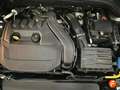 Skoda Kamiq 1.5 TSI Style DSG Gris - thumbnail 18