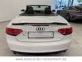 Audi A5 Cabriolet 3.0 TDI quattro S.Line Weiß - thumbnail 4