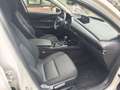 Mazda CX-30 2.5L e-SKYACTIV G 140ps Homura Blanc - thumbnail 7