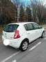 Dacia Sandero 1.5 dci Story 75cv White - thumbnail 8