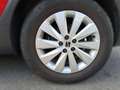 SEAT Arona AUSTRIA EDITION 1.0 TSI Rot - thumbnail 5