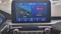 Ford Kuga 1.5 ecoblue st-line 2wd 120cv Gris - thumbnail 8