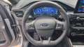 Ford Kuga 1.5 ecoblue st-line 2wd 120cv Gris - thumbnail 13