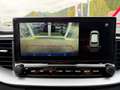 Kia Ceed / cee'd 1,5 TGDI Gold isg Bleu - thumbnail 12