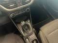 Ford Fiesta 1.100 BENZINA/GPL 75 CV TITANIUM Rosso - thumbnail 15