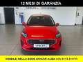 Ford Fiesta 1.100 BENZINA/GPL 75 CV TITANIUM Rosso - thumbnail 2