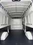 Maxus Deliver 9 Deliver 9 Kasten 2.0 D L3H3 FWD - thumbnail 6