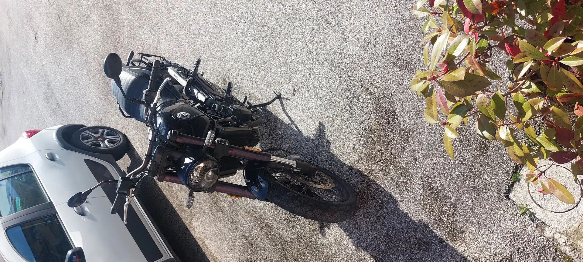 Benelli Leoncino Negru - 1