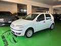 Fiat Punto Fiat Punto Classic 1.2 5 porte Active GPL Bianco - thumbnail 1