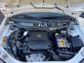 Fiat Punto Fiat Punto Classic 1.2 5 porte Active GPL Bianco - thumbnail 15