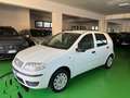 Fiat Punto Fiat Punto Classic 1.2 5 porte Active GPL Bianco - thumbnail 2