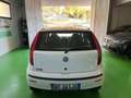 Fiat Punto Fiat Punto Classic 1.2 5 porte Active GPL Bianco - thumbnail 7