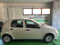 Fiat Punto Fiat Punto Classic 1.2 5 porte Active GPL Bianco - thumbnail 5