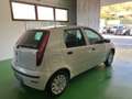 Fiat Punto Fiat Punto Classic 1.2 5 porte Active GPL Bianco - thumbnail 6