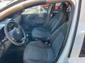Fiat Punto Fiat Punto Classic 1.2 5 porte Active GPL Bianco - thumbnail 10