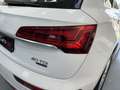 Audi Q5 40 TDI quattro-ultra S line S tronic 150kW Wit - thumbnail 13