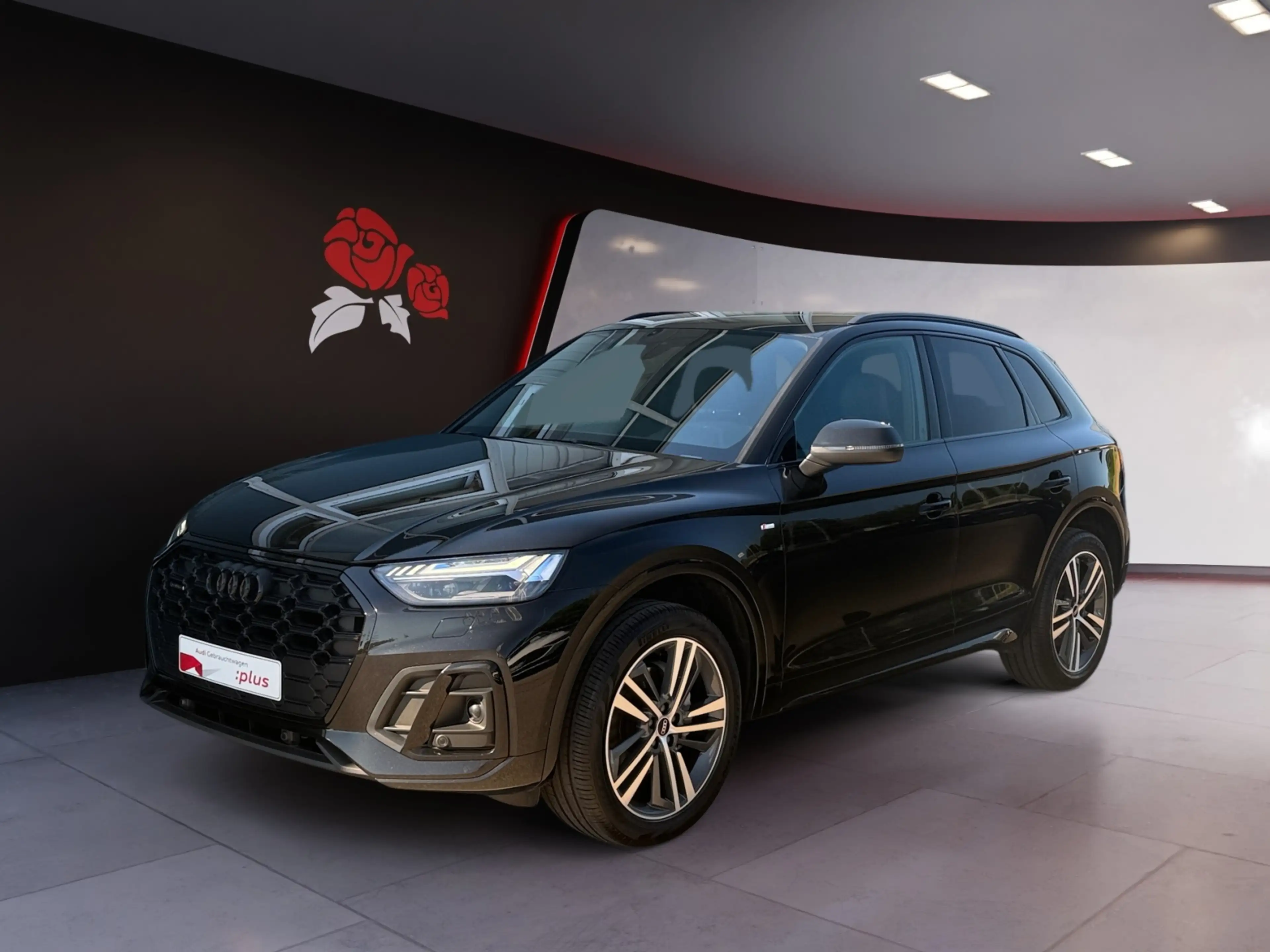 Audi Q5 2.0 TDI quattro S-tronic S-line RFK ACC Navi SHZ — photo 2