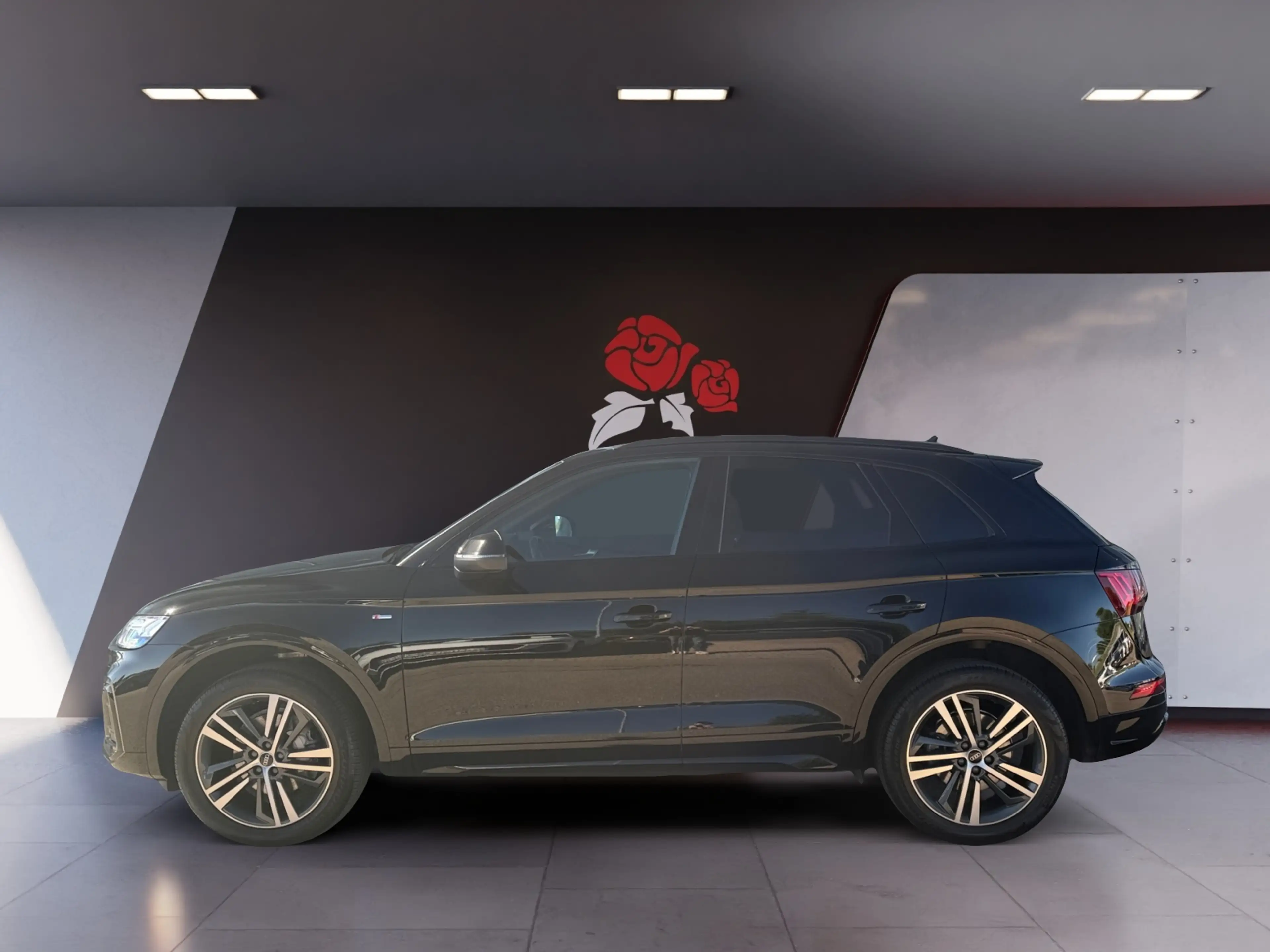 Audi Q5 2.0 TDI quattro S-tronic S-line RFK ACC Navi SHZ — photo 3
