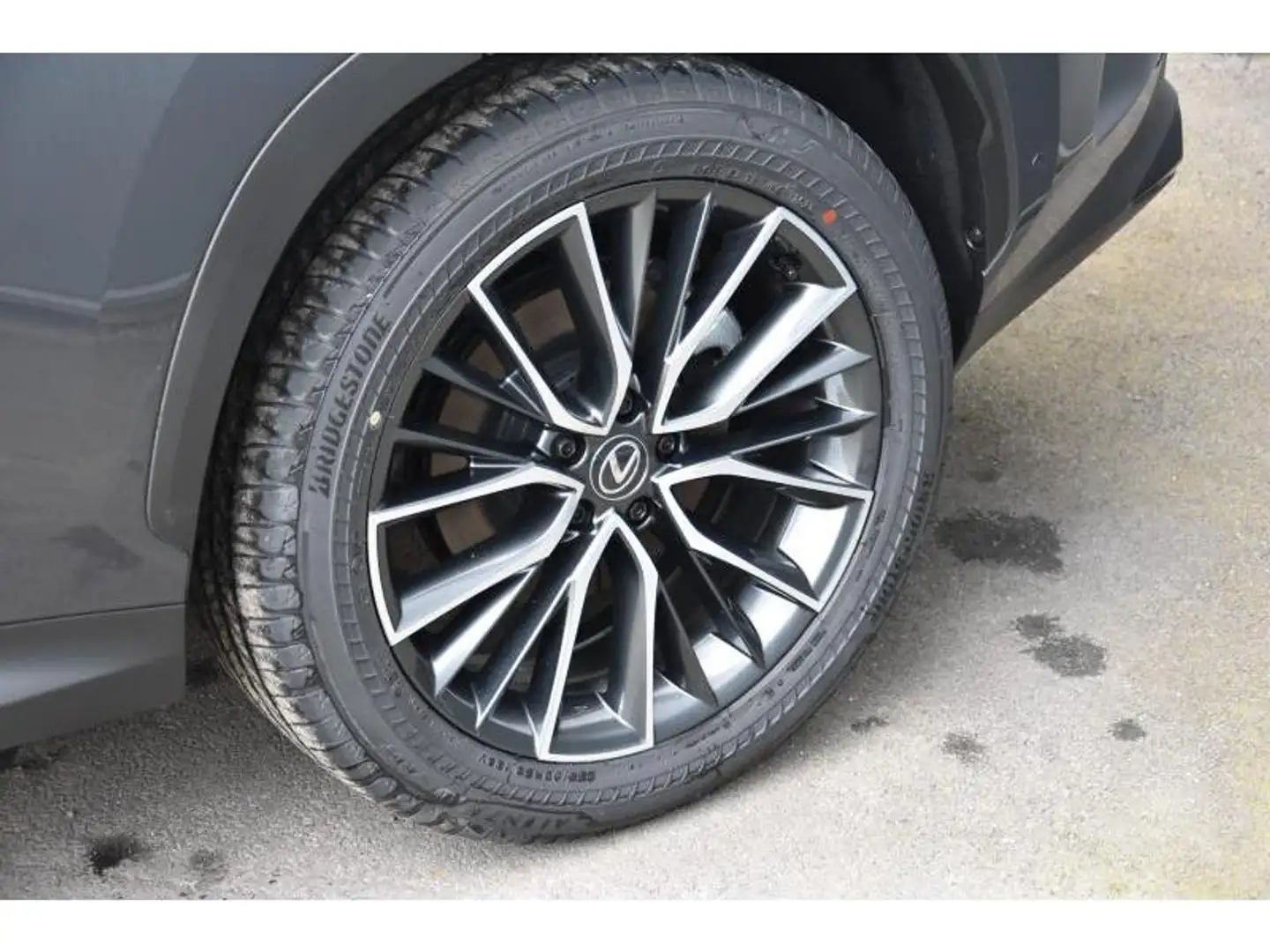 Lexus NX 450h+ 2.5 Privilege Line Grau - 2