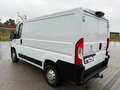 Peugeot Boxer - thumbnail 2