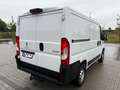 Peugeot Boxer - thumbnail 4