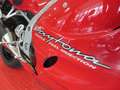 Triumph Daytona T 595 Rosso - thumbnail 5