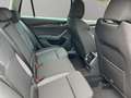 Skoda Octavia Combi TSI mHEV Selection DSG Grau - thumbnail 14