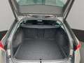Skoda Octavia Combi TSI mHEV Selection DSG Grau - thumbnail 15