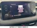 Skoda Fabia 1.5 TSI DSG STYLE KLIMAAUT SHZ PDC APP ALU Grau - thumbnail 25
