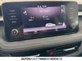 Skoda Fabia 1.5 TSI DSG STYLE KLIMAAUT SHZ PDC APP ALU Grau - thumbnail 23