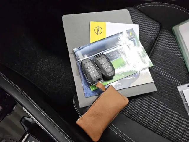Opel Grandland view 13