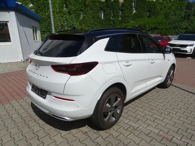 Opel Grandland view 6