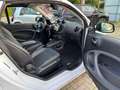 smart forTwo Cabrio Brabus Xclusive 109PS-LED-NAVI-KAM-JBL Blanc - thumbnail 11