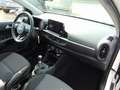 Kia Picanto Vision Weiß - thumbnail 13