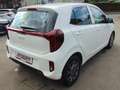 Kia Picanto Vision Weiß - thumbnail 4