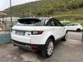 Land Rover Range Rover Evoque Bianco - thumbnail 6