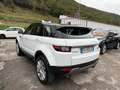 Land Rover Range Rover Evoque Bianco - thumbnail 4