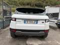 Land Rover Range Rover Evoque Bianco - thumbnail 5