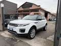 Land Rover Range Rover Evoque Bianco - thumbnail 3
