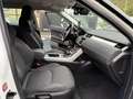 Land Rover Range Rover Evoque Bianco - thumbnail 8