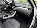 Land Rover Range Rover Evoque Bianco - thumbnail 7