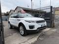 Land Rover Range Rover Evoque Bianco - thumbnail 1