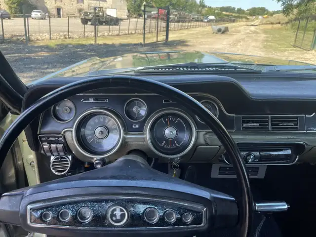 Ford Mustang view 12
