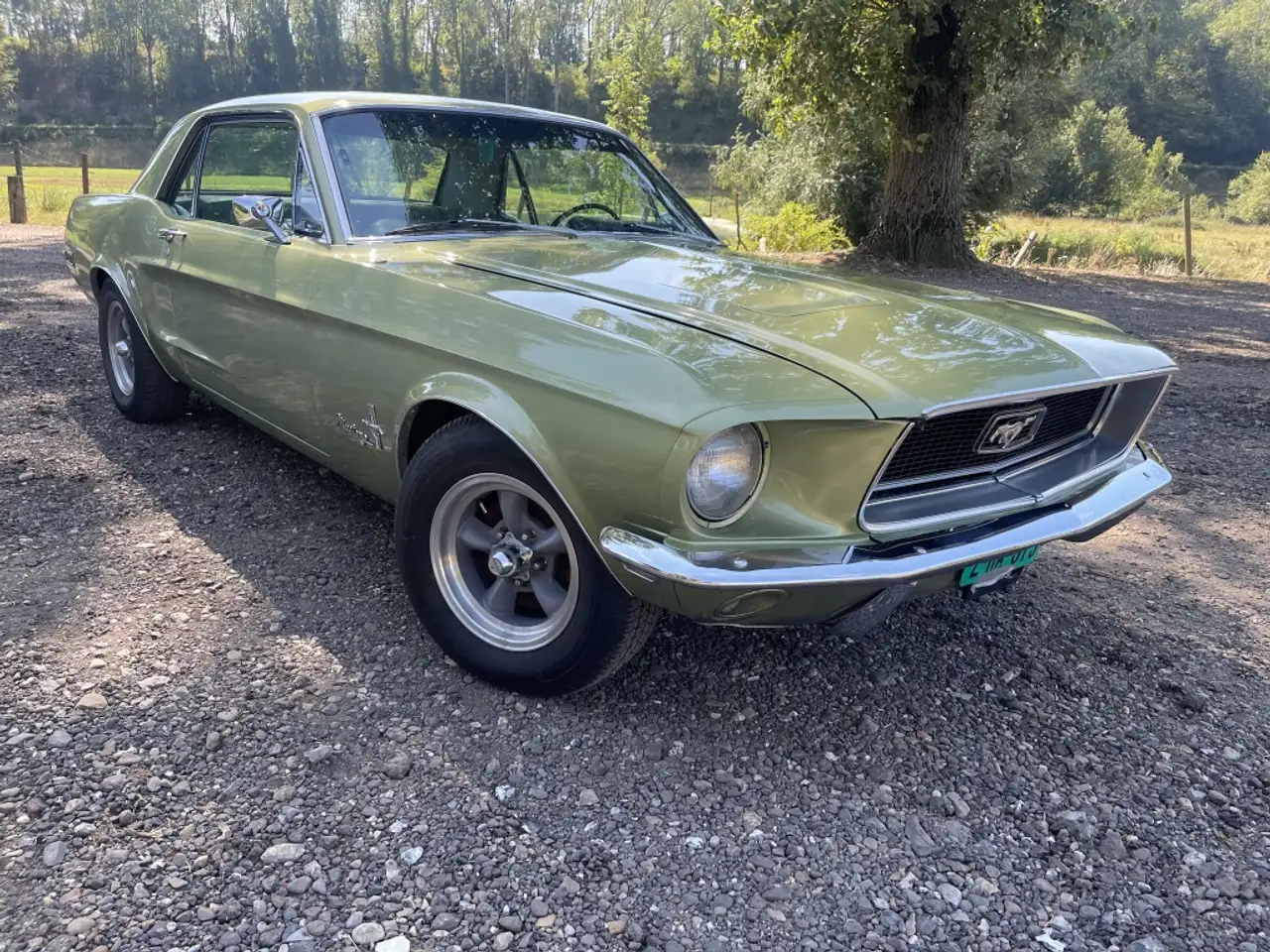 Ford Mustang V8 !!!, foto 1