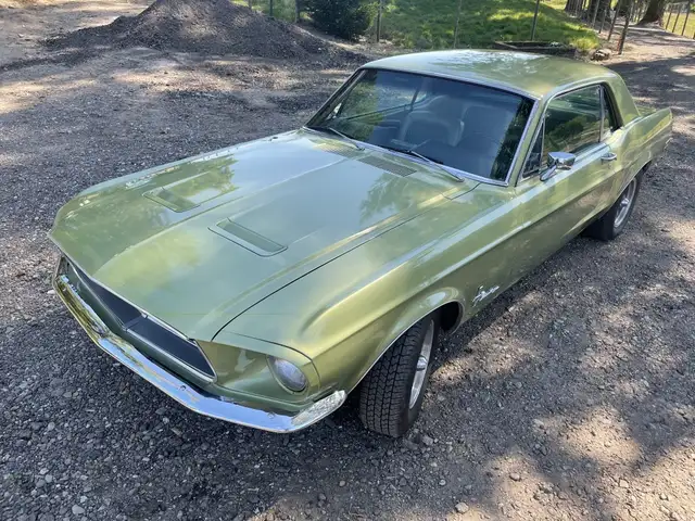 Ford Mustang view 9
