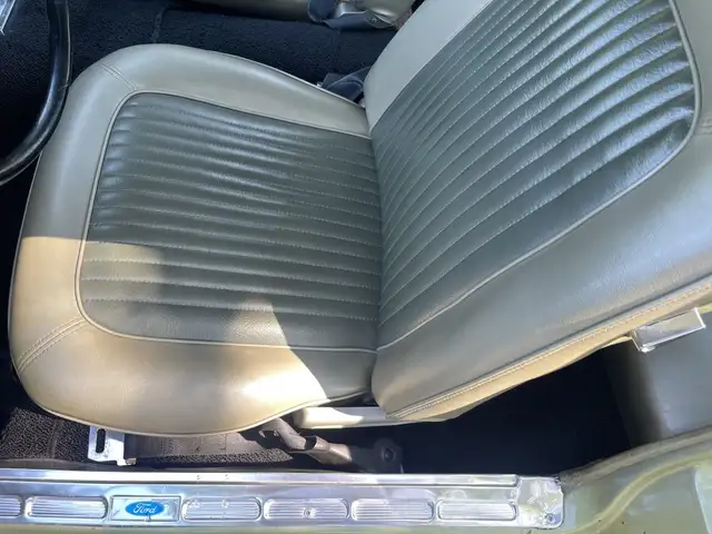 Ford Mustang view 11