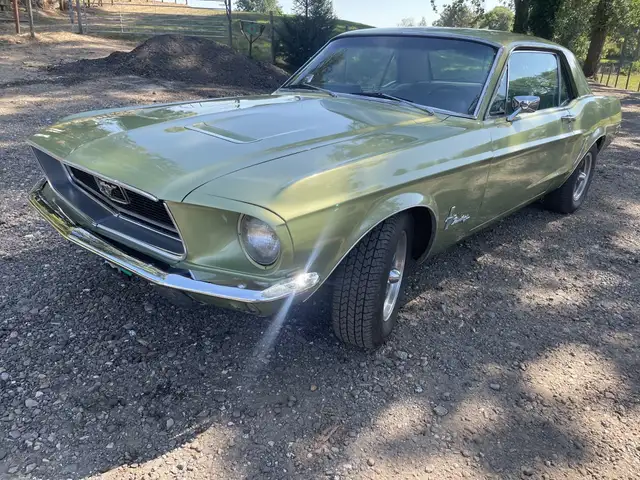 Ford Mustang view 8