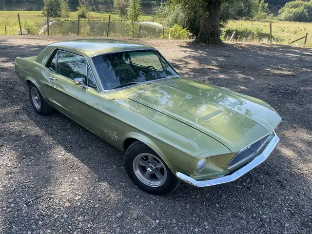 Ford Mustang view 3