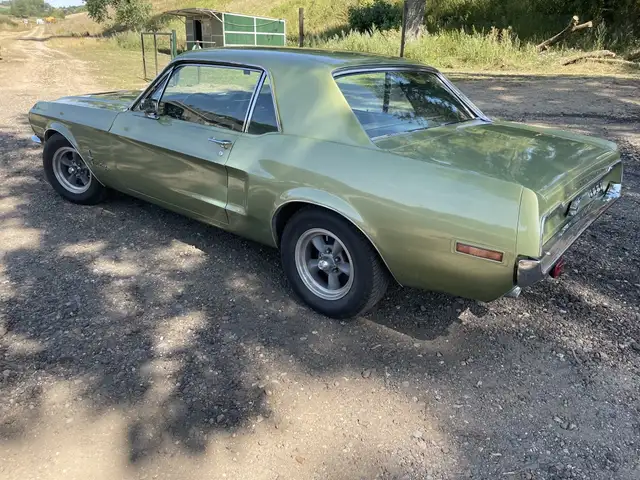 Ford Mustang view 7
